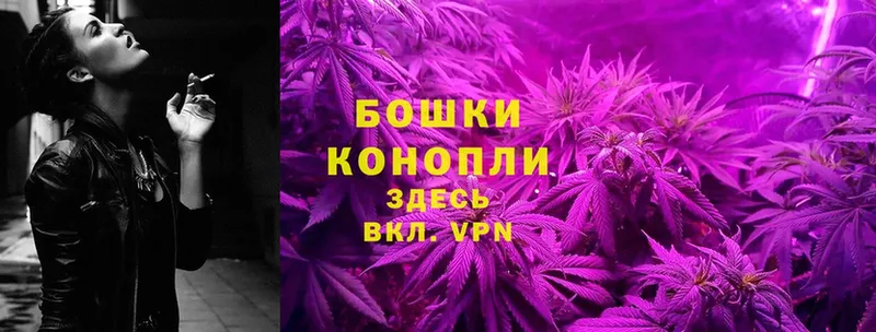 магазин    Вельск  Бошки марихуана OG Kush 